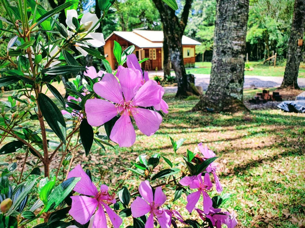 Sitio Recanto Feliz Gramado Esterno foto
