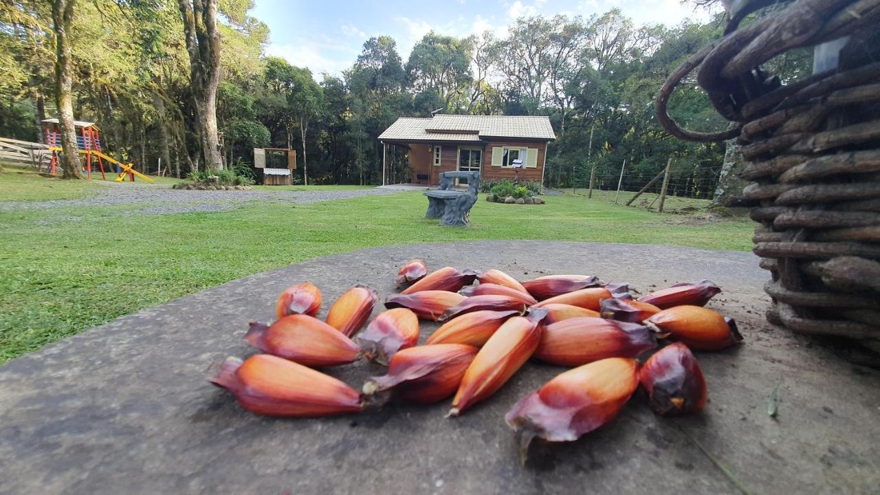 Sitio Recanto Feliz Gramado Esterno foto